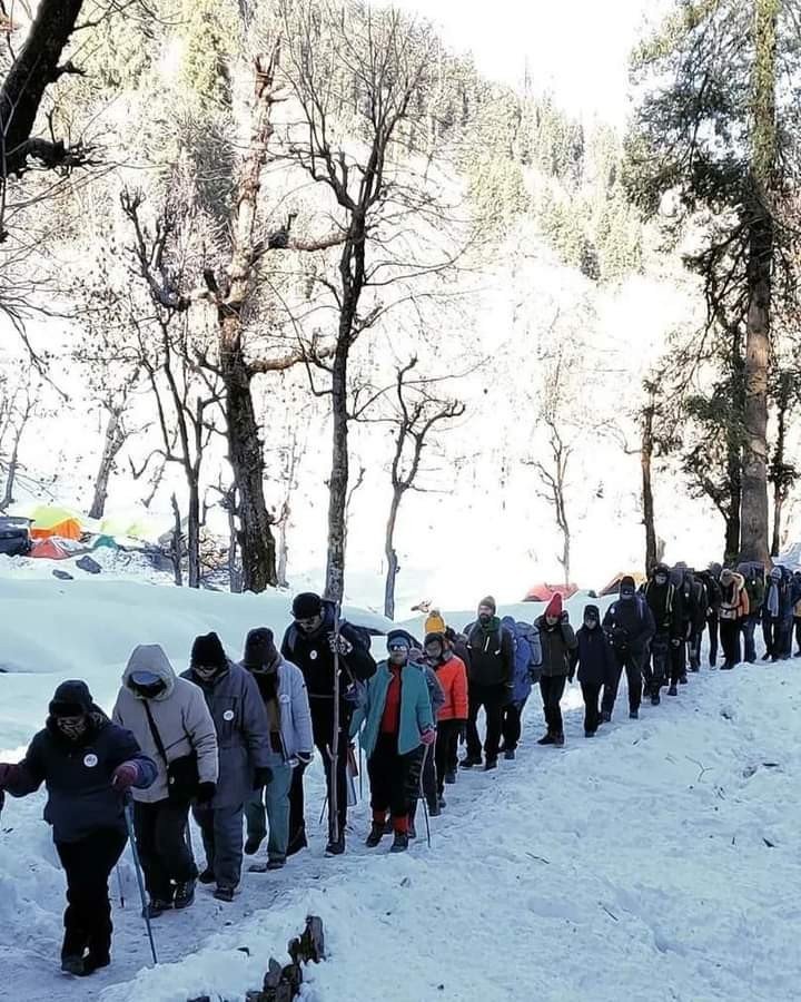 Trekking Through Pine Snow Trail